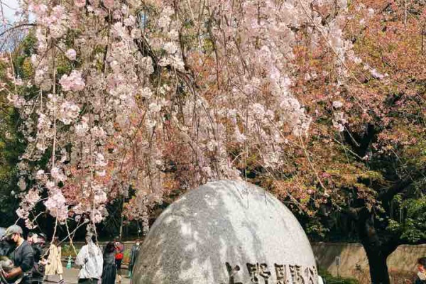 上野の住人モネのblog 上野公園 上野の住人モネのblog 上野公園