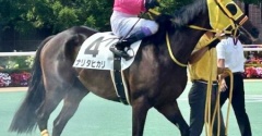 武豊騎手が4600勝を達成されたレースを見てきました。