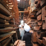 『新木場は宝箱だ！銘木屋さん巡りバスツアー体験記（前編）』の画像