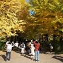 日本（１１１）　東京　昭和記念公園