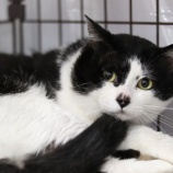 『【ご支援お願いします】Amazonほしい物リスト』の画像