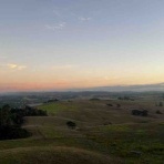 Working Title 、あるいは「映画の答え合わせ」