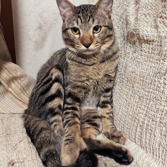 ひまちゃんと きみちゃん