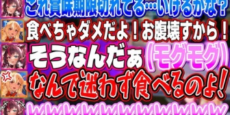 【ホロEN】賞味期限の切れたサンドイッチを何のためらいもなく食べるアイリスを本気で心配するふーたん