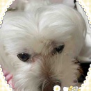 きのうのこと【木曜日】