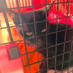 聖隷訪問看護ステーション千本＆看護小規模多機能型居宅介護事業所せいれい緑町