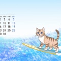 2025年７月カレンダー　サーフィンネコ！