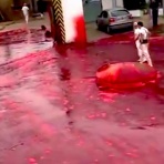 ユルクヤル、外国人から見た世界