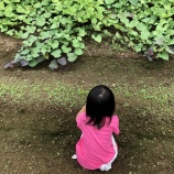 『〜畑〜』の画像