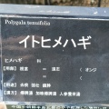 現在の状況260911