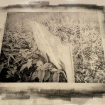 久保元幸印画研究室　　　　　　　　　　　　　　　　　　Motoyuki Kubo Printing Laboratory