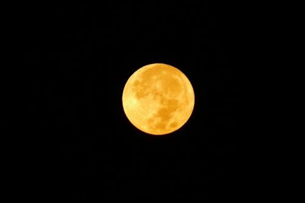 年の10月は満月が2回ある フーちゃんのカメラウオッチング