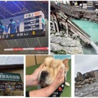 �����ޤ��Ƥ���ǤȤ��������ޤ�🎍