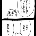ﾈｺﾁｬﾝのﾆﾝｹﾞﾝ育成日記