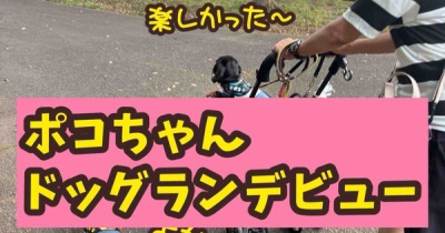 ポコちゃん、ドッグランに行きました。