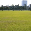 現代住宅植栽考・改訂版　第57回