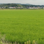 市原市に憲法と地方自治を活かす会