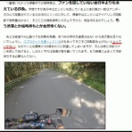 明日は晴れますか ~総合Blog ~
