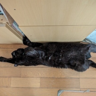 そぢん塾。