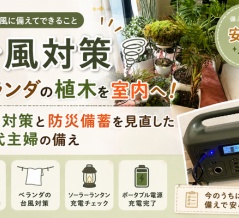 【台風対策】ベランダの植木を室内へ！停電対策と防災備蓄を見直した50代主婦の備え