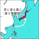 耳に塗る薬②/麦と腎臓病74