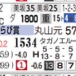 ハイブリッド競馬新聞