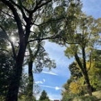 本当の自分の芽を育てる