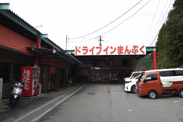 マキさん専用富貴蘭「碧翠」大株立ち Open!NOTES / 中山逍雀