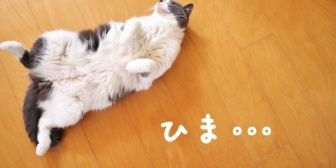 仕事中、誰かから業務依頼されると、「今、手が空いてますか？」って聞かれると、少し困ってモヤッとくる。
