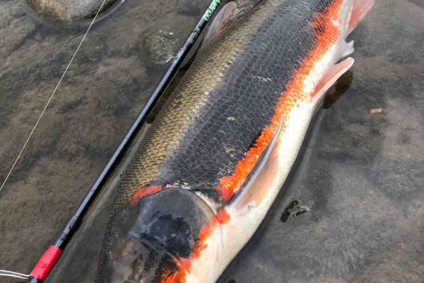 都市型釣りブログ マルタ 都市型釣りブログ マルタ