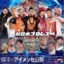 情熱やエネルギーが欲しい時、柔術