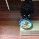 体力回復のため、体重増加を目指す