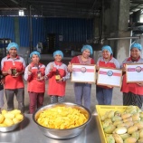 『嬉しいご報告』の画像