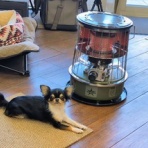 『シーン・ホーム・ファクトリー』リフォーム日記＾0＾