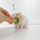 今日のプリン(11/21追記)