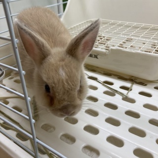 小動物専門店NATURE'S