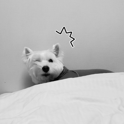 Qte24uzy07 Rhm