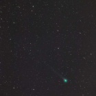 『投稿：レモン彗星・スワン彗星・秋の花【追々記】2025/09/29』の画像