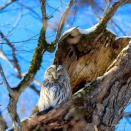青空の日は外せない