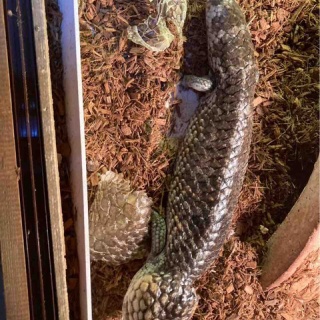 大型熱帯魚屋  ZEEBRA