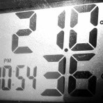 毛玉きょうだい