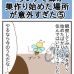 ひよっこ一家備忘録