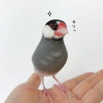 雨ですね……