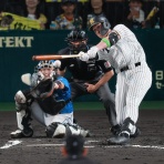 とらほー速報