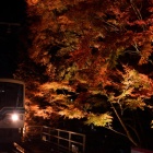 �رû���Ŵ�ι��դΥȥ�ͥ�٤β���