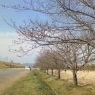 �إ��������@ �������٤β���
