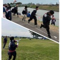 凧合戦を比較する