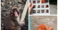 市川市動植物園へパンチくんに会いに&パンチくん切手を買うために長蛇の列に並んだ…