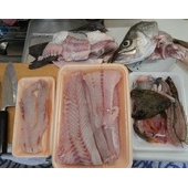 ありがとう鹿島灘2015年水揚げ②