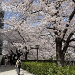 弁護士川井信之のビジネス・ロー（企業法務）・ノート